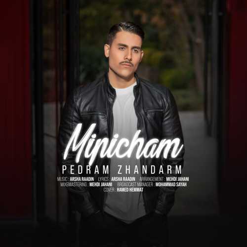 Download New Music By  Pedram Zhandarm Called Mipicham