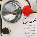Download Music Siavash Barani – Shamdooni