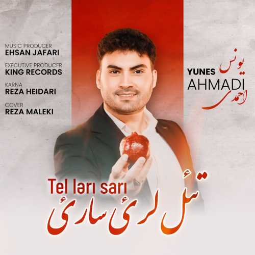 Download New Music By  Yunes Ahmadi Called Tel Lari Sari