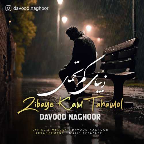 Download New Music By  Davood Naghoor Called Zibaye Kam Tahamol