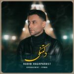Download Music Habib Haghparast – Deltangi