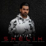 Download Music Hastyar – Shelik