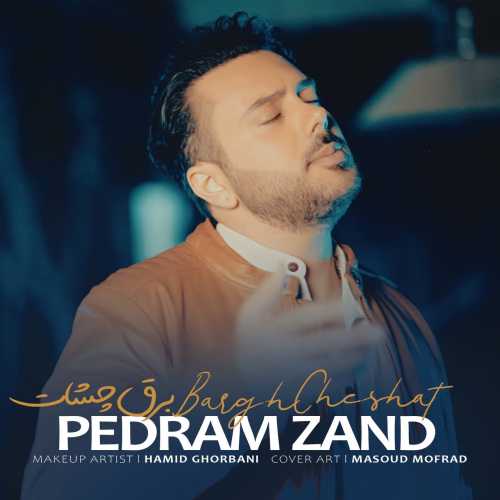 Download New Music By  Pedram Zand Called Barghe Cheshat