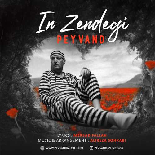 Download New Music By  Peyvand Called In Zendegi