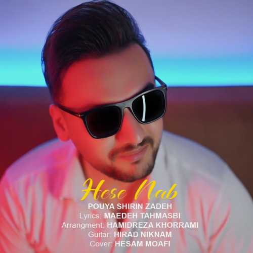 Download New Music By  Pouya Shirin Zadeh Called Hese Nab