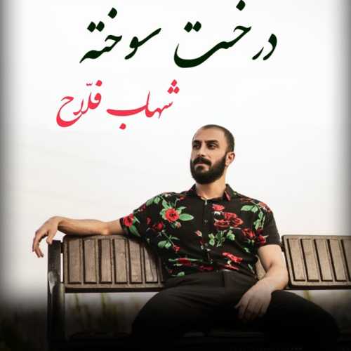 Download New Music By  Shahab Fallah Called Derakhte Sookhte