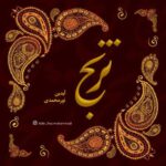 Download Music Aidin Noormohammadi – Toranj