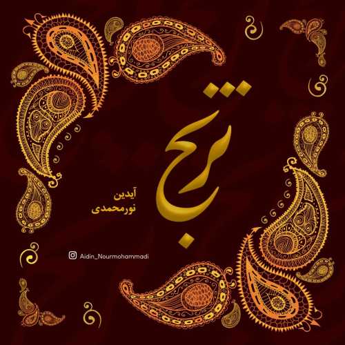 Download New Music By  Aidin Noormohammadi Called Toranj