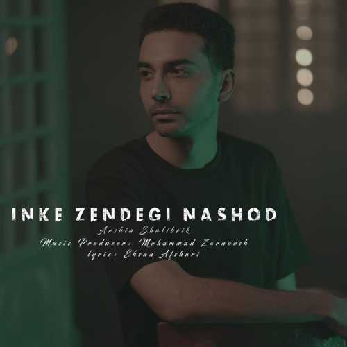 Download New Music By  Arshia Shalibeik Called In Ke Zendegi Nashod