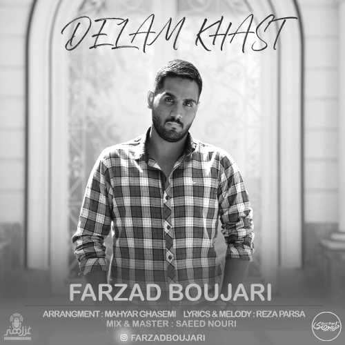 Download New Music By  Farzad Boujari Called Delam Khast