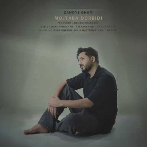 Download New Music By  Mojtaba Dorbidi Called Zanooye Gham