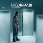 Download Music Saeed Davoodi – Nayoumadi