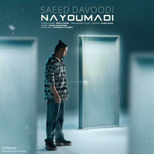 Download New Music By  Saeed Davoodi Called Nayoumadi