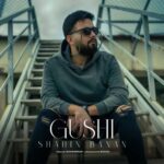 Download Music Shahin Banan – Gushi