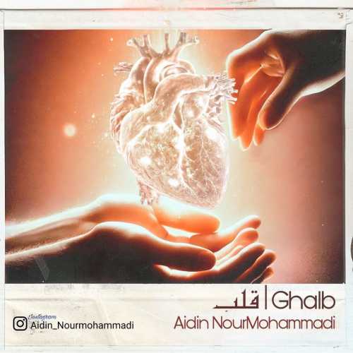 Download New Music By  Aidin Nourmohammadi Called Ghalb