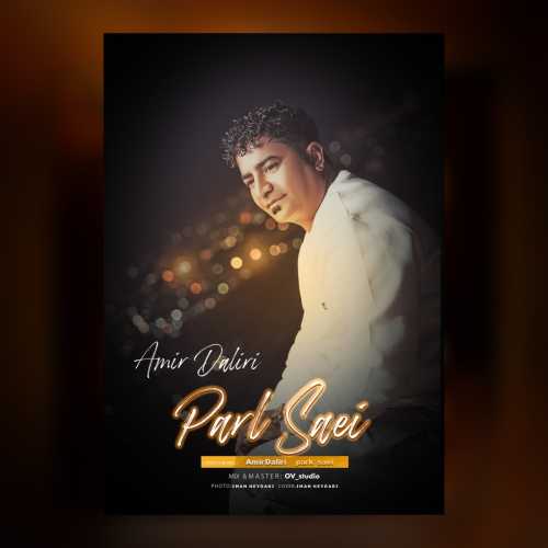 Download New Music By  Amir Daliri Called Park Saei