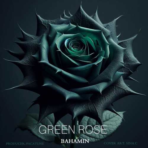 Download New Music By  Bahamin Called Green Rose (Ft Pacatune)