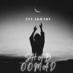 Download Music Eli Akbari – Shab Oomad