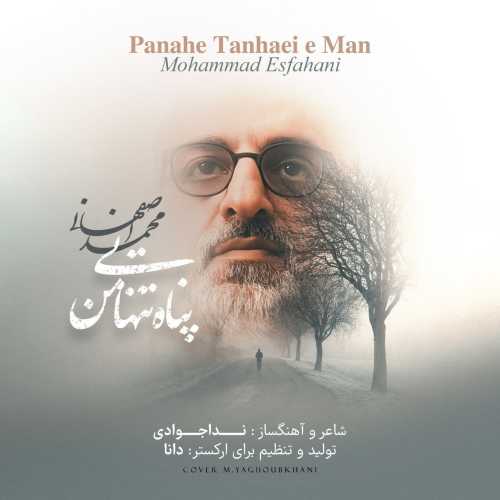 Download New Music By  Mohammad Esfahani Called Panahe Tanhaei e Man