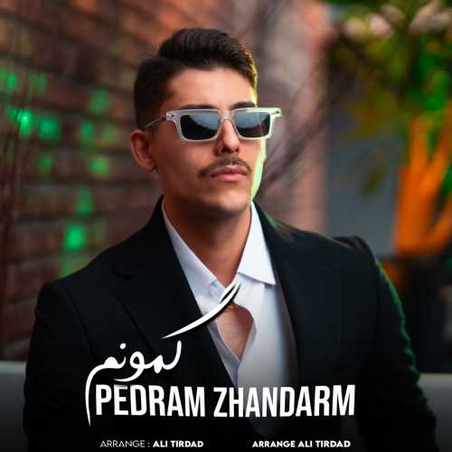 Download New Music By  Pedram Zhandarm Called Gamoonam