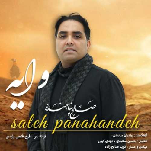 Download New Music By  Saleh Panahandeh Called Vayeh