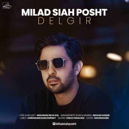 Download New Music By  Milad Siah Posht Called Delgir