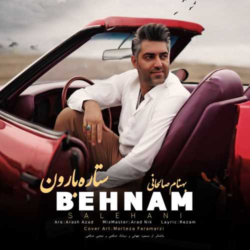 Download New Music By  Behnam Salehani Called Setareh Baroon