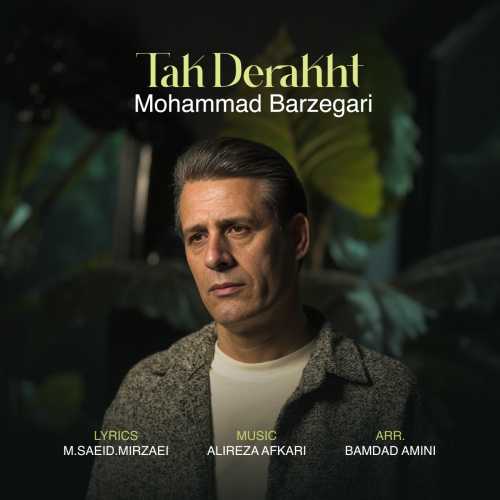 Download New Music By  Mohammad Barzegari Called Tak Derakht