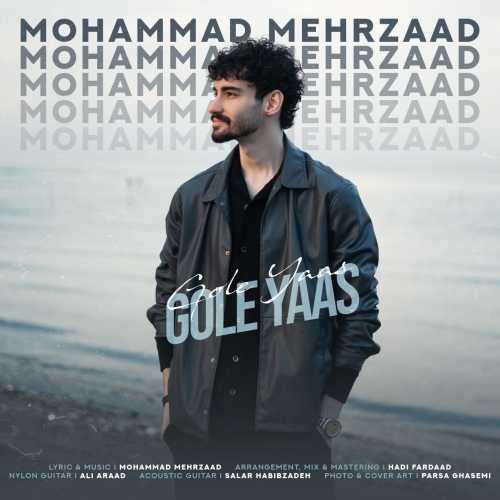 Download New Music By  Mohammad Mehrzaad Called Gole Yaas