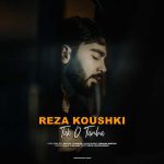 Download Music Reza Koushki – Tak o Tanha