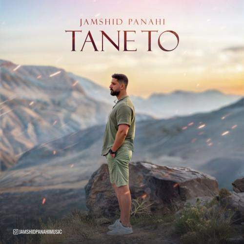 Download New Music By  Jamshid Panahi Called Tane To