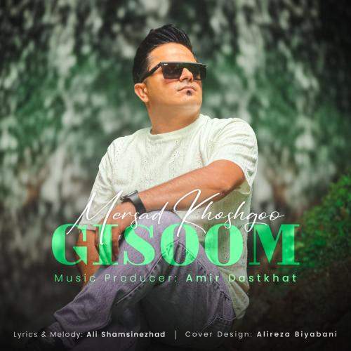 Download New Music By  Mersad Khoshgoo Called Gisom