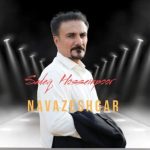 Download Music Sadeq Hosseinpoor – Navazeshgar