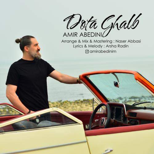 Download New Music By  Amir Abedini Called Dota Ghalb