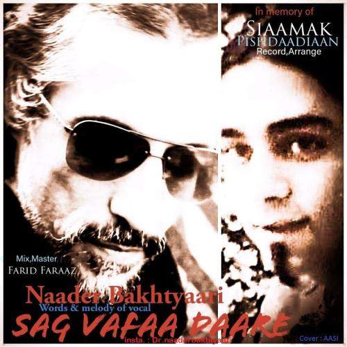 Download New Music By  Naader Bakhtiaary Called Sag Vafaa Daare