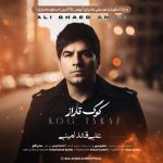 Download Music Ali Ghaed Amini - Kog Taraz 2 Download Music Ali Ghaed Amini – Kog Taraz