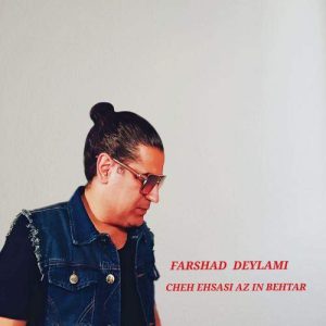 Download Music Farshad Deylami – Che Ehsasi Az In Behtar