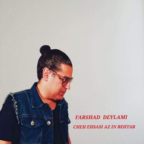 Download New Music By  Farshad Deylami Called Che Ehsasi Az In Behtar