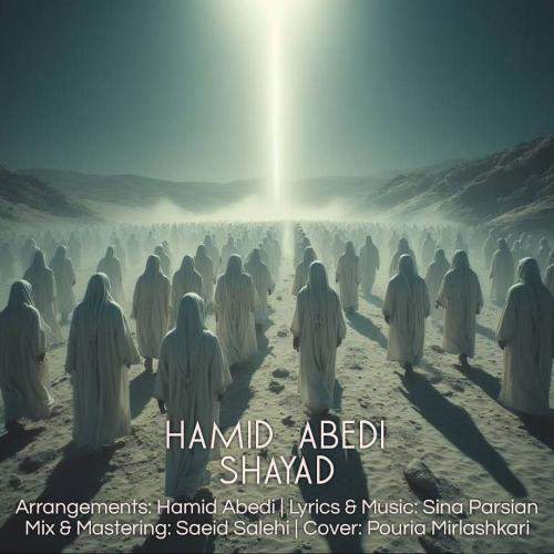 Download New Music By  Hamid Abedi Called Shayad