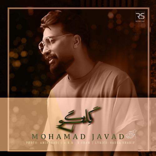 Download Music Mohammad Javad Haghshenas - Gelegi 1 Download New Music By Mohammad Javad Haghshenas Called Gelegi