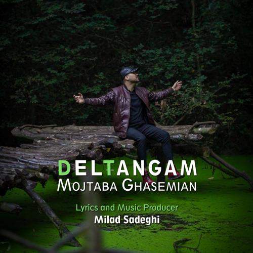 Download Music Mojtaba Ghasemian - Deltangam 1 Download New Music By Mojtaba Ghasemian Called Deltangam