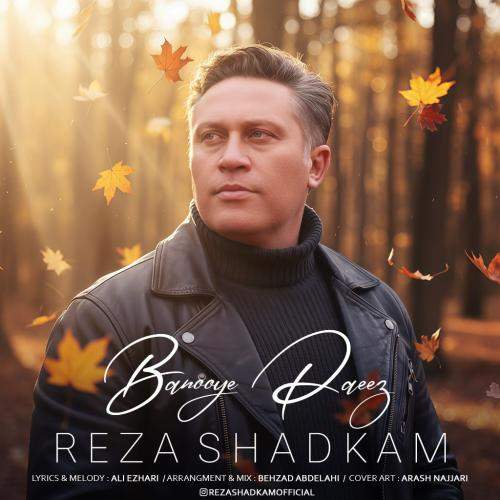 Download New Music By  Reza Shadkam Called Banooye Paeez