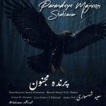 Download Music Saeed Shahsavari (Shahsavar) – Parandeye Majnoon