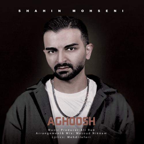 Download New Music By  Shahin Mohseni Called Aghoosh