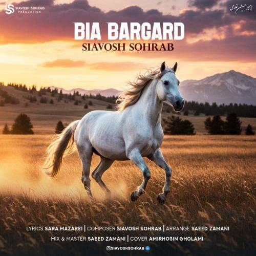 Download New Music By  Siavosh Sohrab Called Bia Bargard