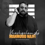 Download Music Mahmoud Najafi – Khoshgelam
