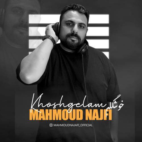 Download New Music By  Mahmoud Najafi Called Khoshgelam