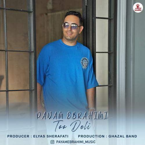 Download New Music By  Payam Ebrahimi Called Too Deli