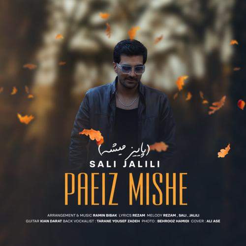 Download Music Sali Jalili - Paeiz Mishe 2 Download New Music By Sali Jalili Called Paeiz Mishe