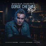 Download Music Shahram Shokoohi - Gorge Cheshat 2 Download Music Shahram Shokoohi – Gorge Cheshat